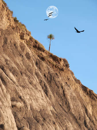 A photo of moon and natureの写真素材