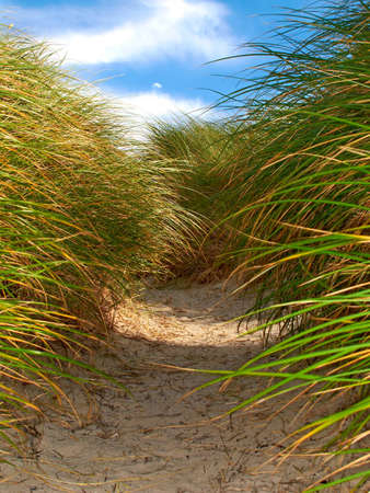 A photo of coastline in Jutland, Denmark