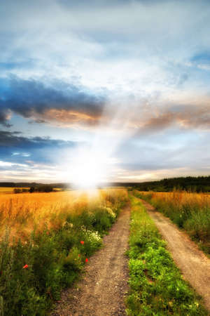 A photo nature in the colors of autumnの写真素材
