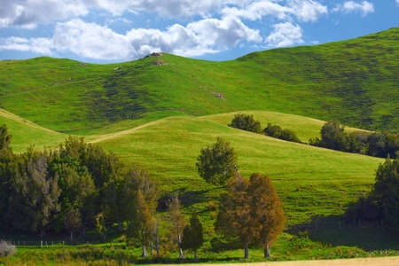 a photo of Farmland - New Zealand