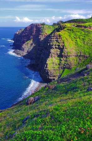 A photo of Coast of Maui, Hawaiiの写真素材