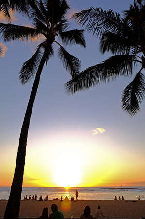 A photo of palms, ocean and suns in Waikiki, Hawaiiの写真素材