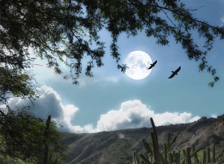 A photo of Moon shine in cactus desert landscape