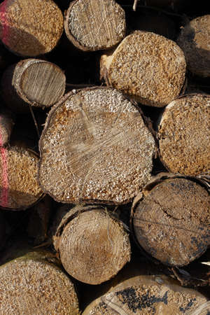 A photo of an old pile of fire wood