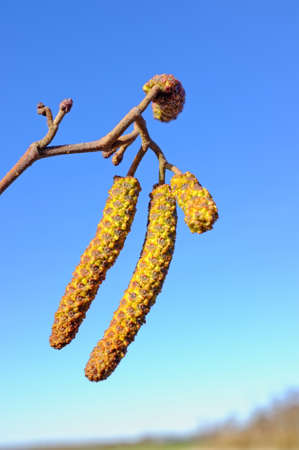 An icon springtime photo of life beginning