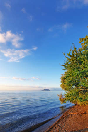 A photo of water and natureの写真素材