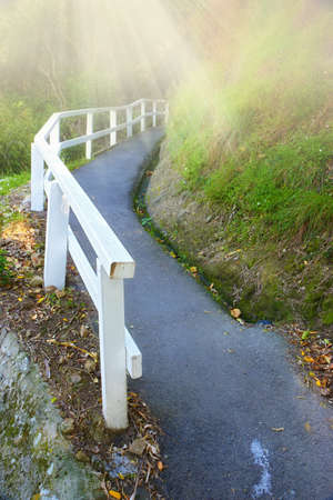 Hill trail in Karaka Bay, Wellington, New Zealand