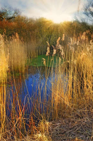 A photo of beautiful winter landscape, Denmark