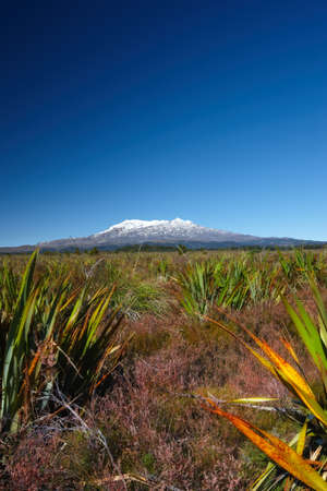 A photo of a Highland volcano - New Zealandの写真素材