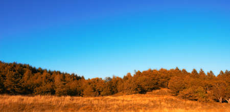 Landscape photo in the colors of autumnの写真素材