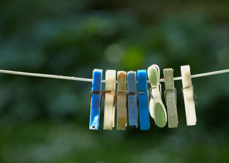 A photo of a diverse set of cloth pins in natural settingの写真素材
