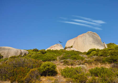 Panorama of Lions Head, Cape Town, South Africaの写真素材