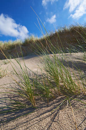 A photo of a Sand beachの写真素材