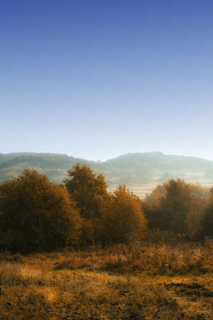 A photo of autumnの写真素材