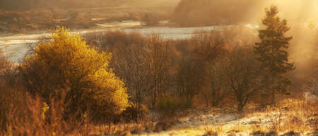 A photo of the forest in autumn colors