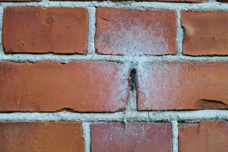 A photo of a very old brick wallの写真素材