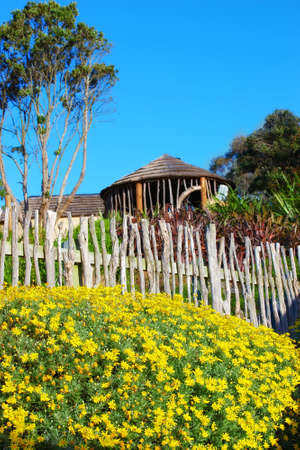 A photo of a natural parkの写真素材