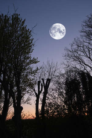 A photo of winter sunsetの写真素材