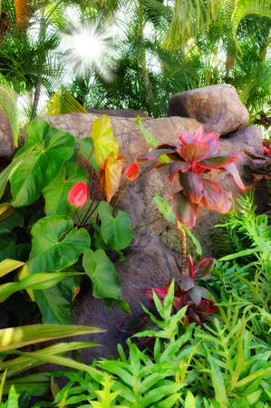 A photo of garden detailsの写真素材