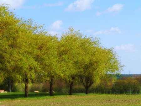 A photo of farmland and countrysideの写真素材