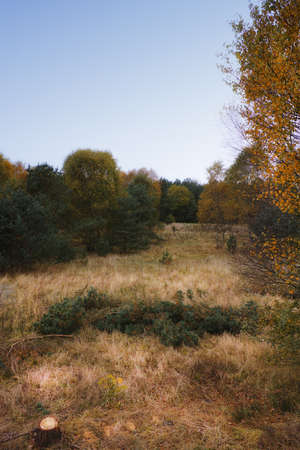 Autumn landscape in Denmarkの写真素材