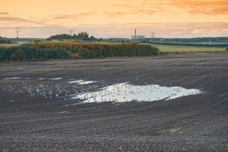 A photo of a lakeの写真素材