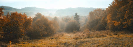 The colors of autumn  - orange and yellow