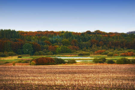 The colors of autumn  - orange and yellowの写真素材