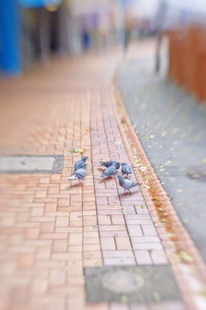 A lens blurred city imageの写真素材