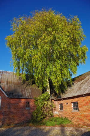 A photo of an old farm houseの写真素材