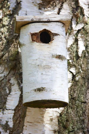 A photo of a bird houseの写真素材