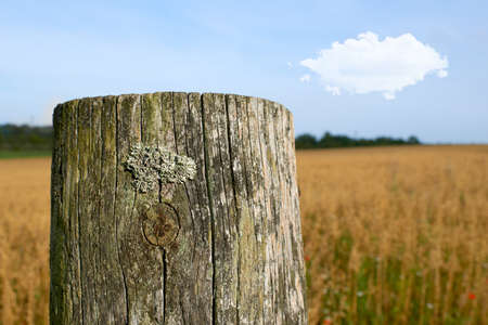 a photo an old fence postの写真素材
