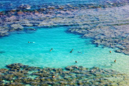 A photo of tropical blue lagoon - Oahu, Hawaiiの写真素材