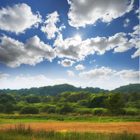 A landscape photo of natural wilderness in Denmark