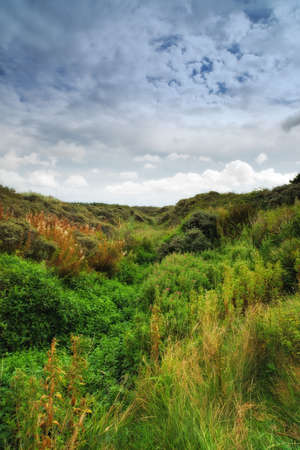 A photo of coastline in Jutland, Denmarkの写真素材