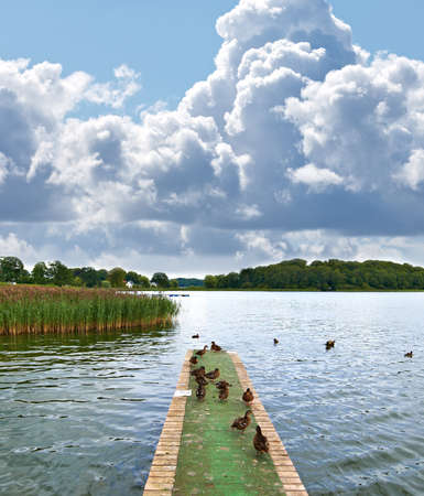A photo of Jetty on a lakeの写真素材