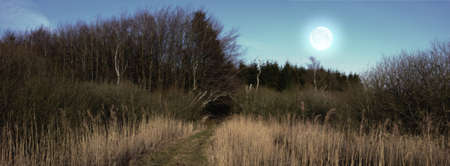 A photo autumn landscapeの写真素材