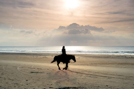 A photo of horse and beach at sunset