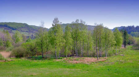 A landscape photo in april - Denmarkの写真素材