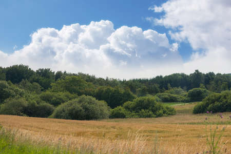 A landscape photo of natural wilderness in Denmarkの写真素材