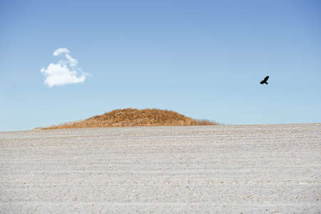 An image of a Viking burial site in Denmarkの写真素材