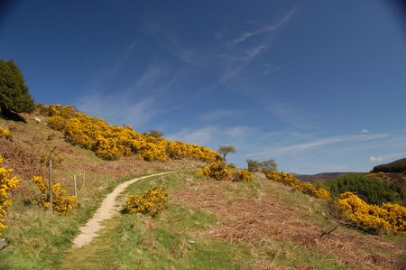 wicklow mountains(1)の写真素材