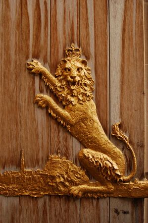 golden lionの写真素材