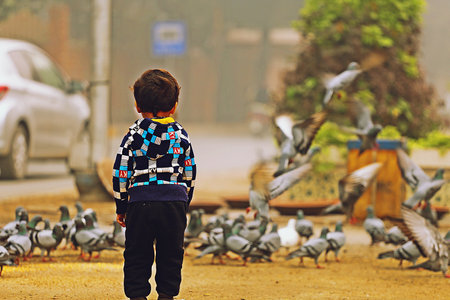 child playing with pigeons on the street in Hanoi, Vietnamの写真素材