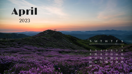 Calendar for april 2021. Colorful azalea flowers in the mountainsの写真素材