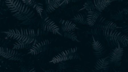 Tropical leaves background. Nature and environment concept. Dark tone.の写真素材