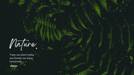 Tropical background with monstera leaves. Vector Illustration.の写真素材