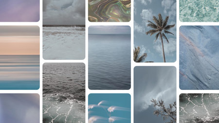 Collage of nature photos with palm trees and sea in the background