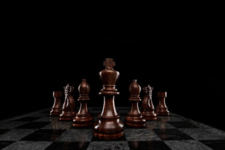A squad of 7 chess pieces leaded by the king.