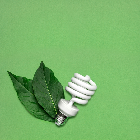 Creative still life of energy saving bulb with leaves as a symbol of environmental protection.の写真素材
